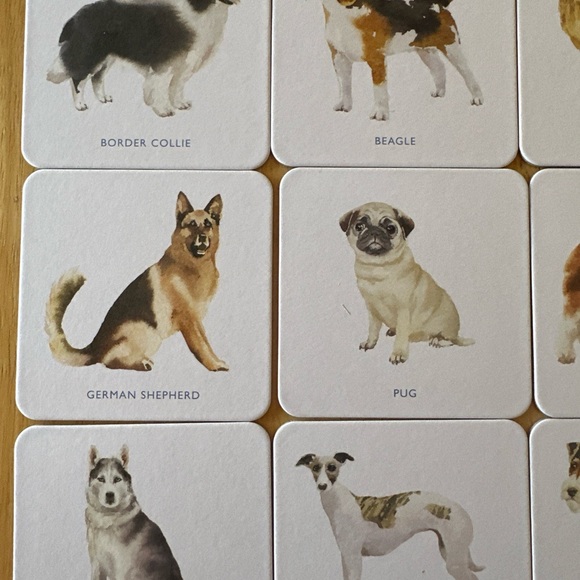 Laurence King Dog Coasters. Set of 16. New in Box - Picture 5 of 12